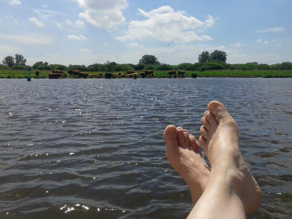 Bed En Breakfast Uitrust Lauwerzijl 外观 照片